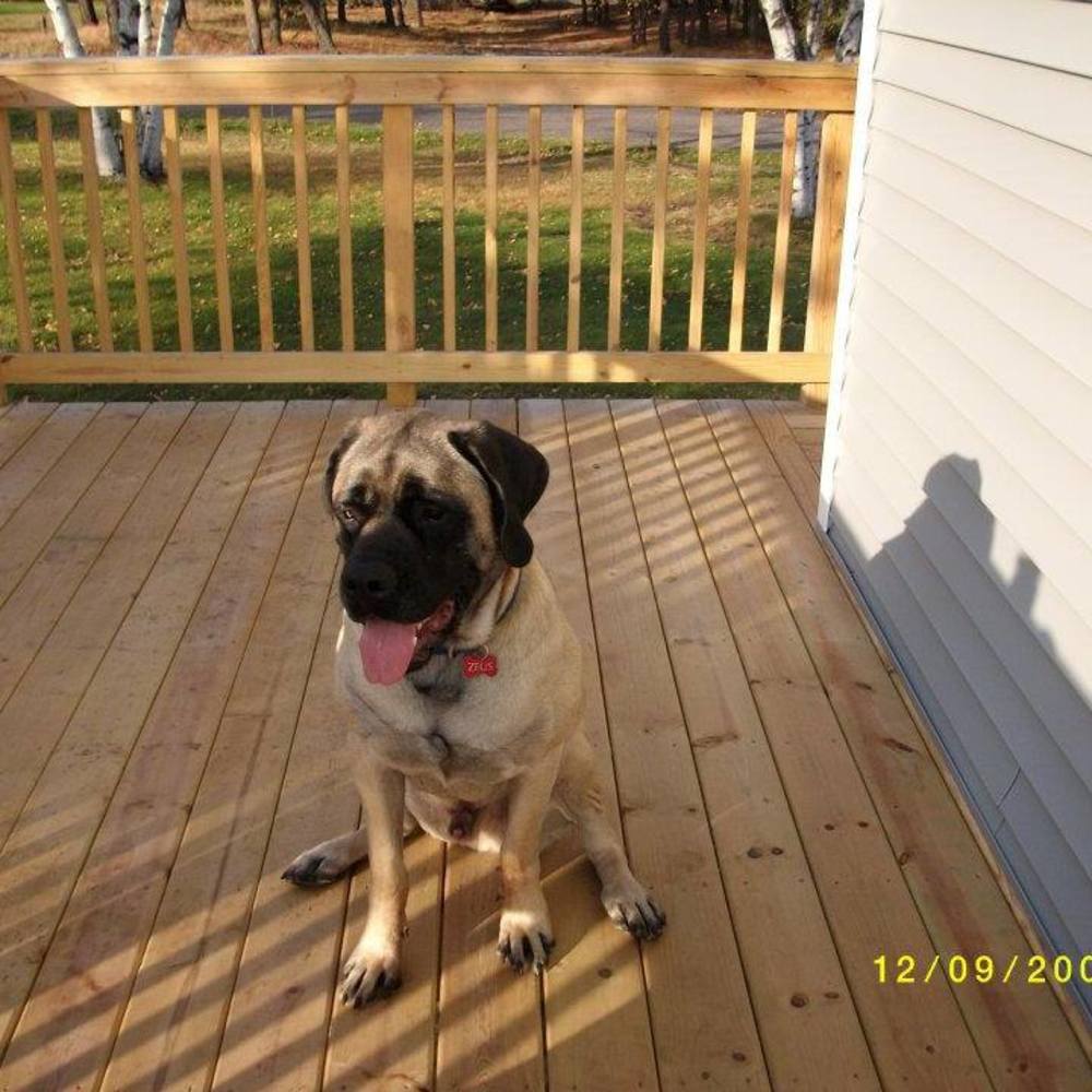 Meet your Posher, Pam